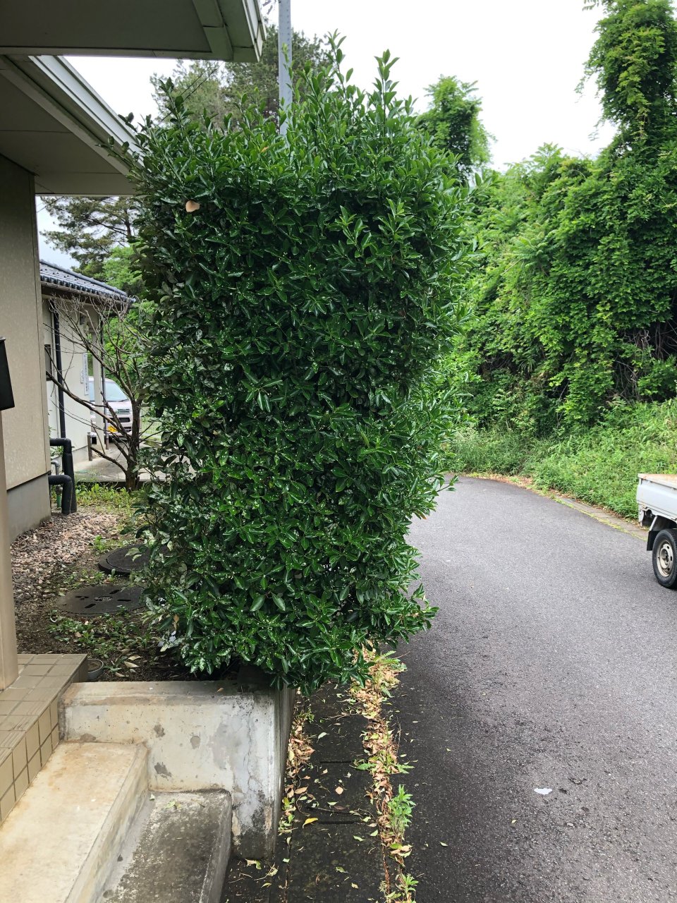 アースリサイクル|福島市・便利屋・不用品買取り・遺品整理・片付け・住宅リフォーム