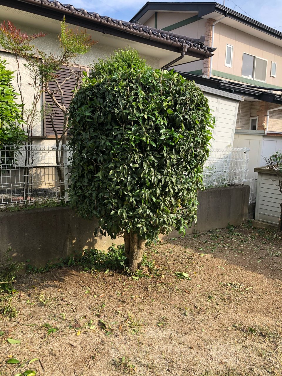 アースリサイクル|福島市・便利屋・不用品買取り・遺品整理・片付け・住宅リフォーム