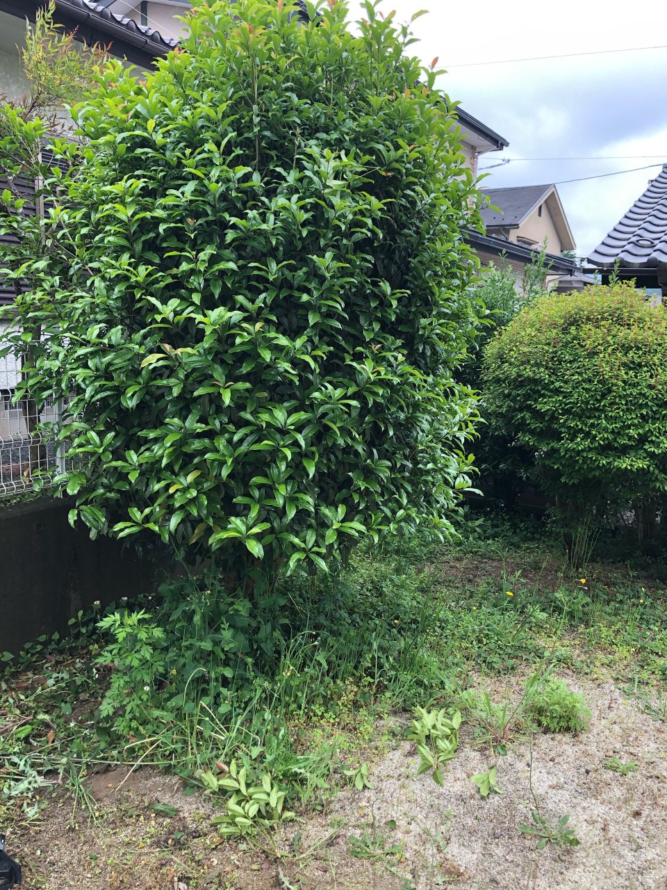 アースリサイクル|福島市・便利屋・不用品買取り・遺品整理・片付け・住宅リフォーム