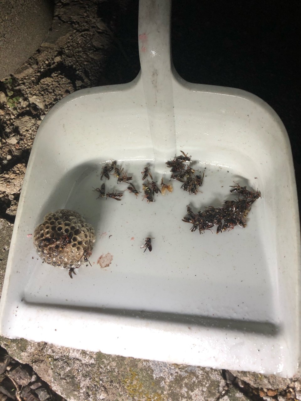 アースリサイクル|福島市・便利屋・不用品買取り・遺品整理・片付け・住宅リフォーム