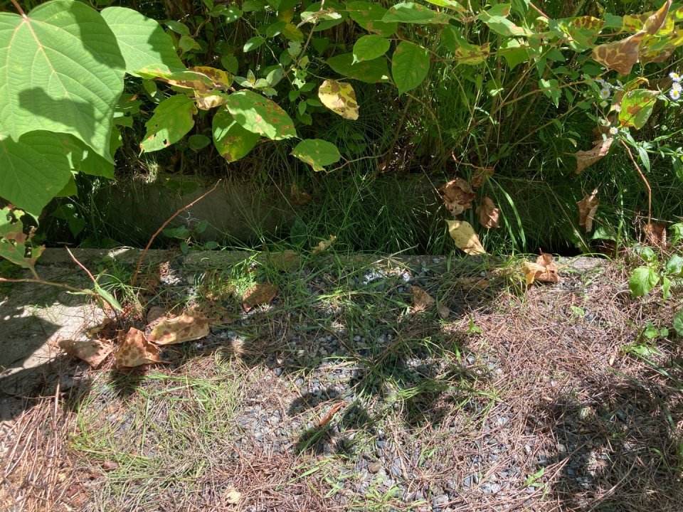 アースリサイクル|福島市・便利屋・不用品買取り・遺品整理・片付け・住宅リフォーム